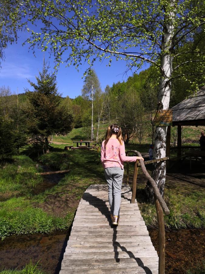 Sky Cabin Apartments Kopaonik Zewnętrze zdjęcie