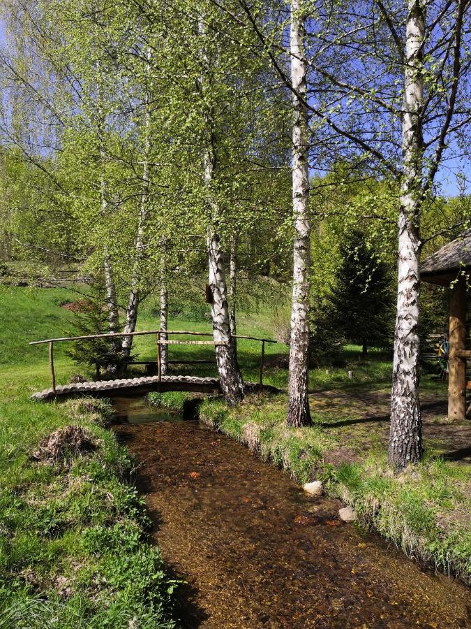 Sky Cabin Apartments Kopaonik Zewnętrze zdjęcie