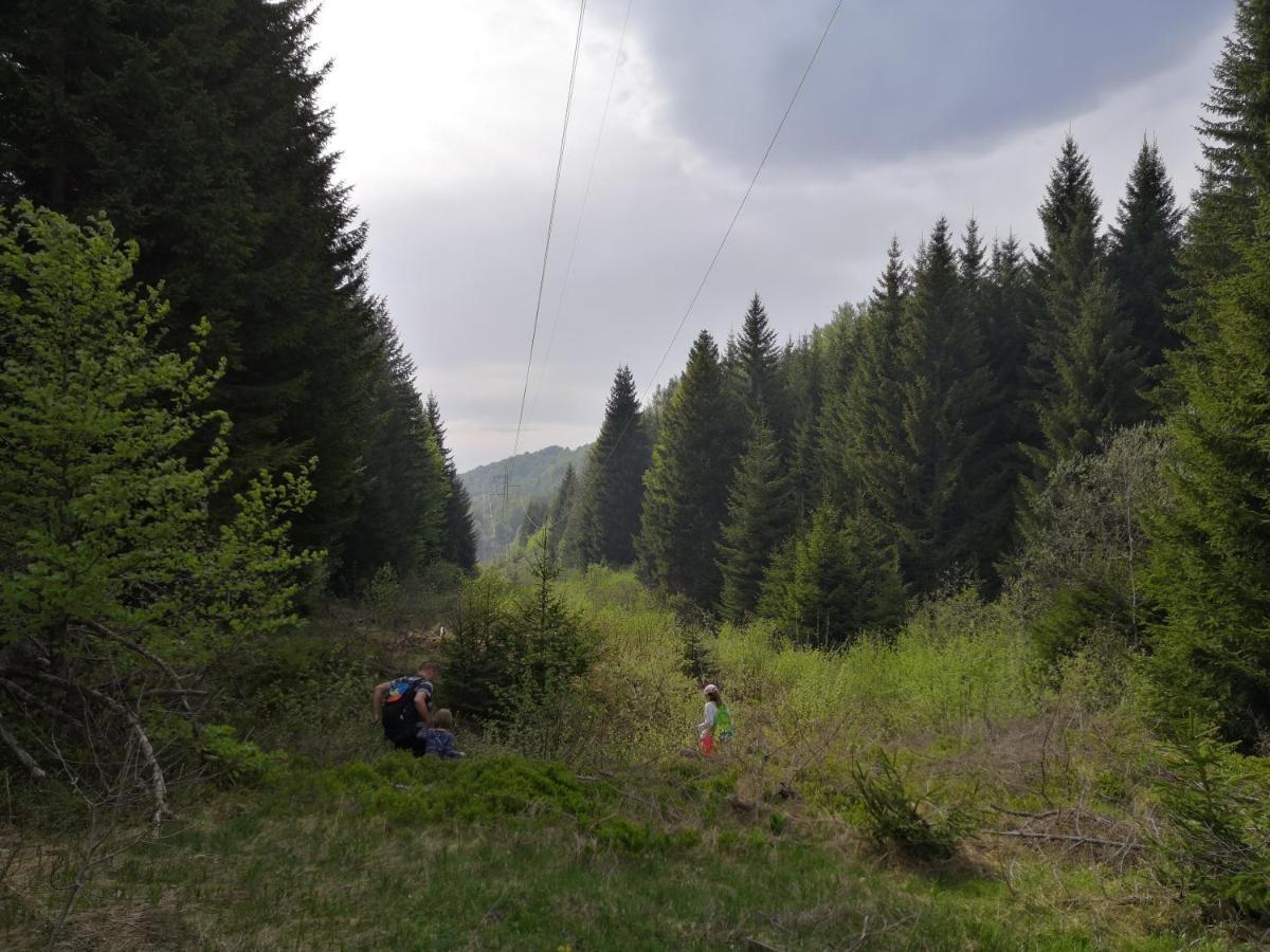 Sky Cabin Apartments Kopaonik Zewnętrze zdjęcie